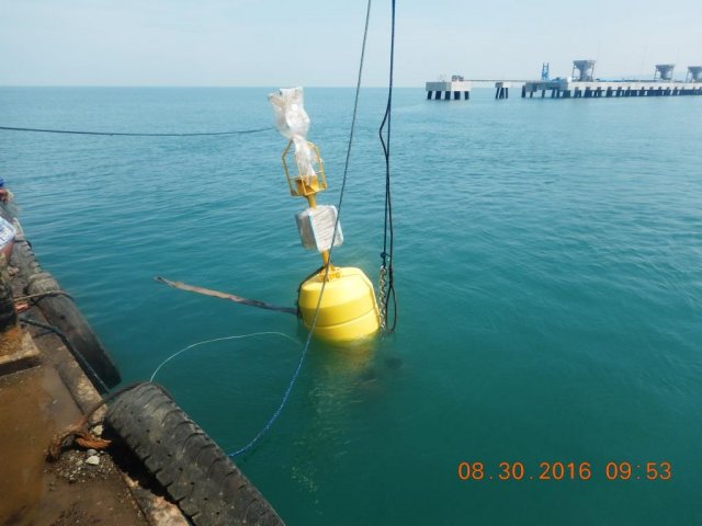 Cautionary Buoy Installation